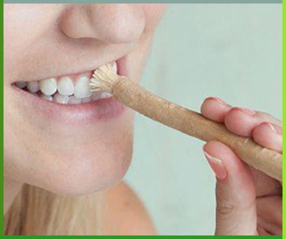 WOODEN TEETH FLOSSER-MISWAK